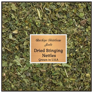 Stinging Nettle Leaf  - Organic - c/s (Urtica dioica) - Grown in the USA - Buckeye Heirloom Seeds