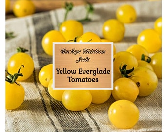 BULK - Florida Yellow Everglade Tomato - Seeds - Florida Native - heat tolerant - Heirloom - Buckeye Heirloom Seeds