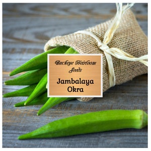 Okra, Jambalaya Seeds - Heirloom - GMO Free - Easy to Grow