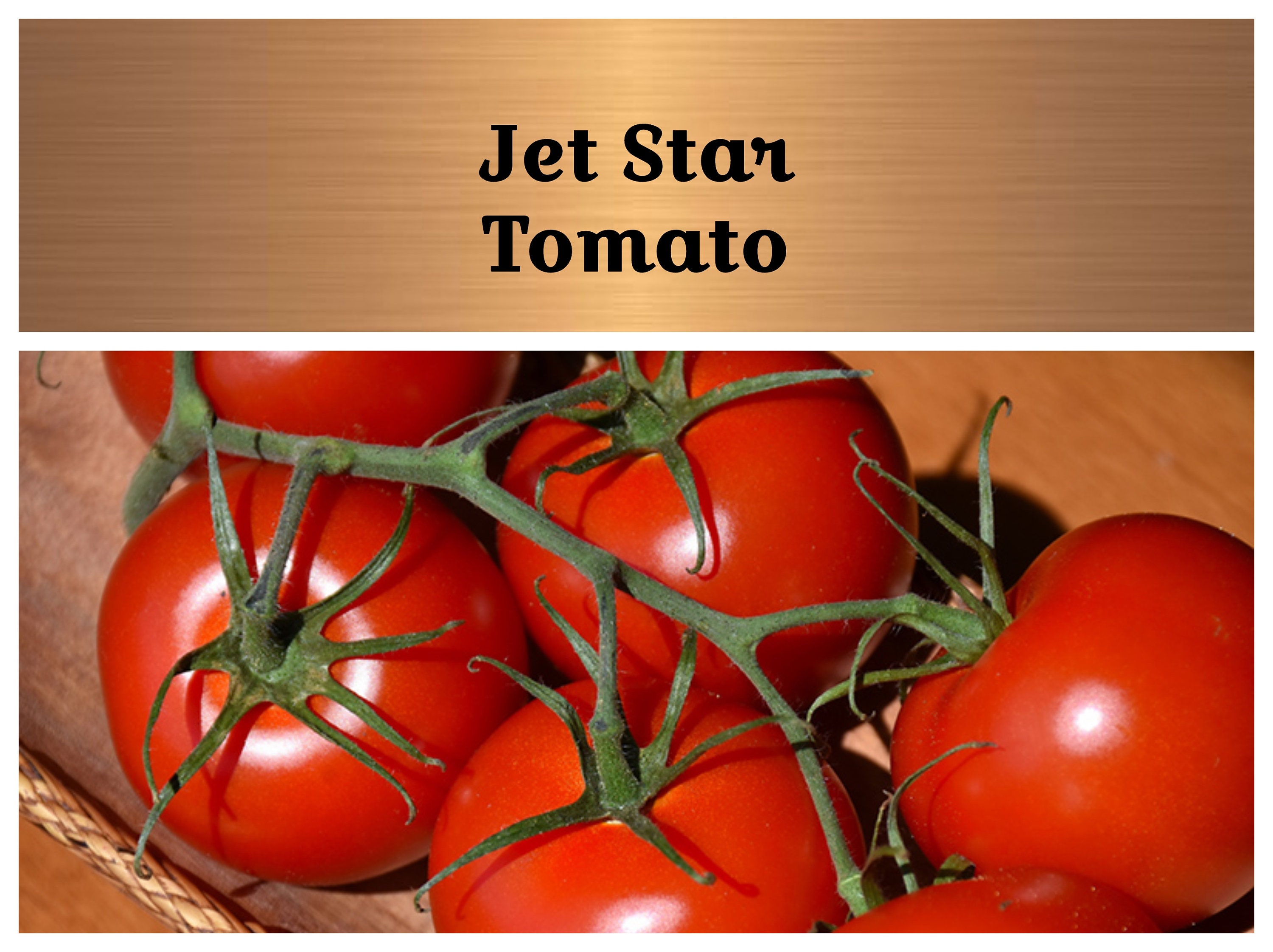 Jet Star Tomato