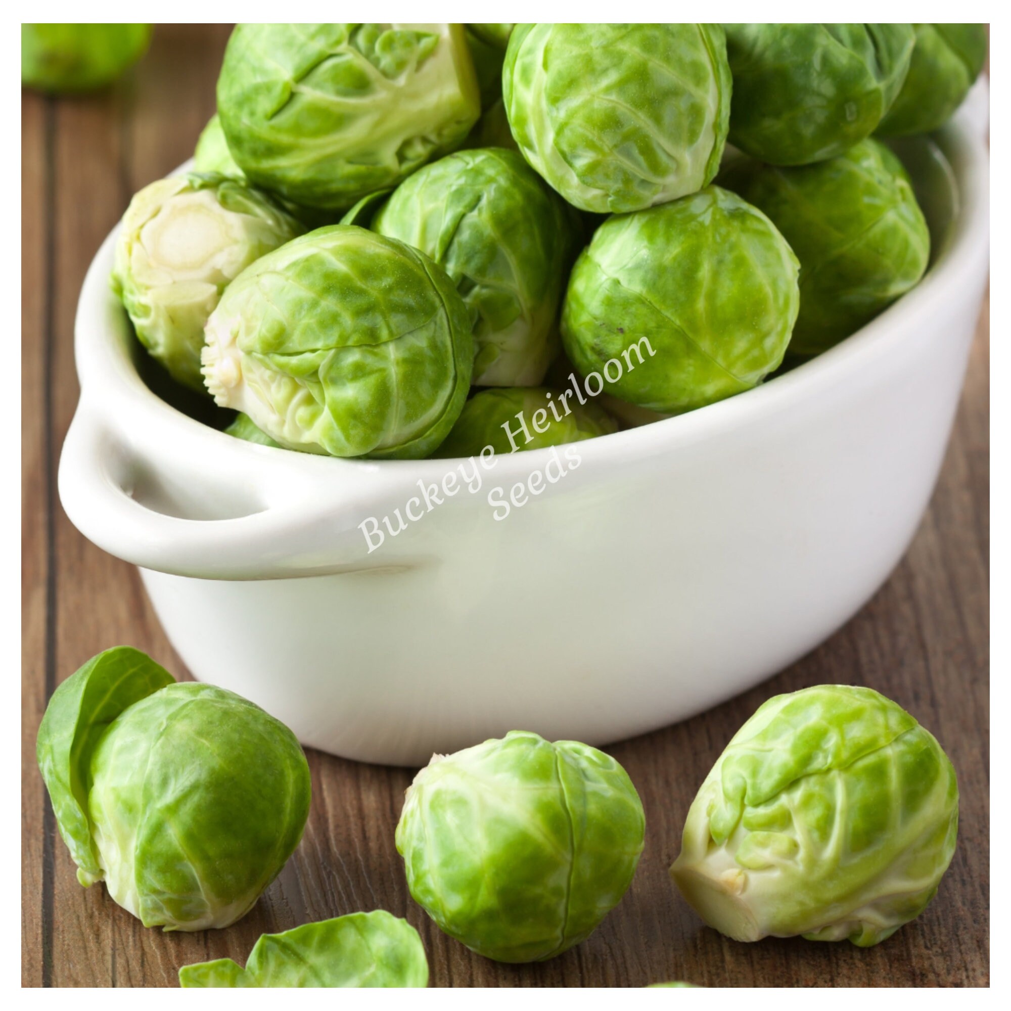 thumbnail image 2 of Long Island Brussel Sprout Seeds – Organic, Non-GMO, Heirloom – Back To Nature Seed Co. 2 of 6