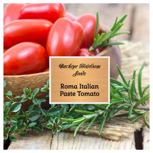Tomato, Roma Italian - Seeds - Non-GMO - Heirloom - Paste Tomato - Buckeye Heirloom Seeds