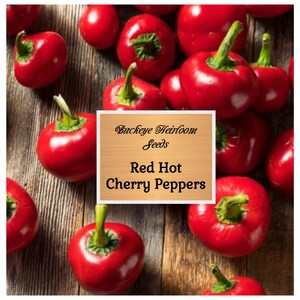 Red Hot Cherry - Pepper Seeds - Easy to Grow - Heirloom - GMO Free (Capsicum annuum) - Buckeye Heirloom Seeds