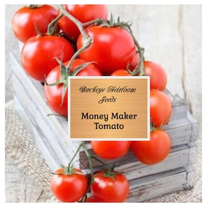 Puede incluir: Un racimo de tomates Money Maker rojos y maduros en su rama, presentados en una caja de madera r&uacute;stica. La imagen incluye una etiqueta con el texto "Buckeye Heirloom Seeds" y "Money Maker Tomato".