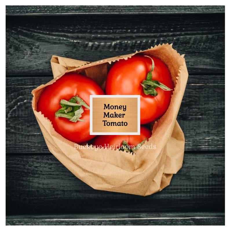 Puede incluir: Tres tomates Money Maker rojos y maduros con tallos verdes en una bolsa de papel marr&oacute;n. El texto "Money Maker Tomato" est&aacute; en un cuadro blanco. Las palabras "Buckeye Heirloom Seeds" est&aacute;n en la parte inferior.