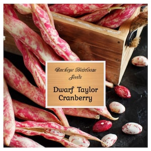May include: Close-up of Dwarf Taylor Cranberry seeds. The image shows red and white speckled beans and pods, some open to reveal the seeds. The text on the image reads "Buckeye Heirloom Seeds" and "Dwarf Taylor Cranberry."