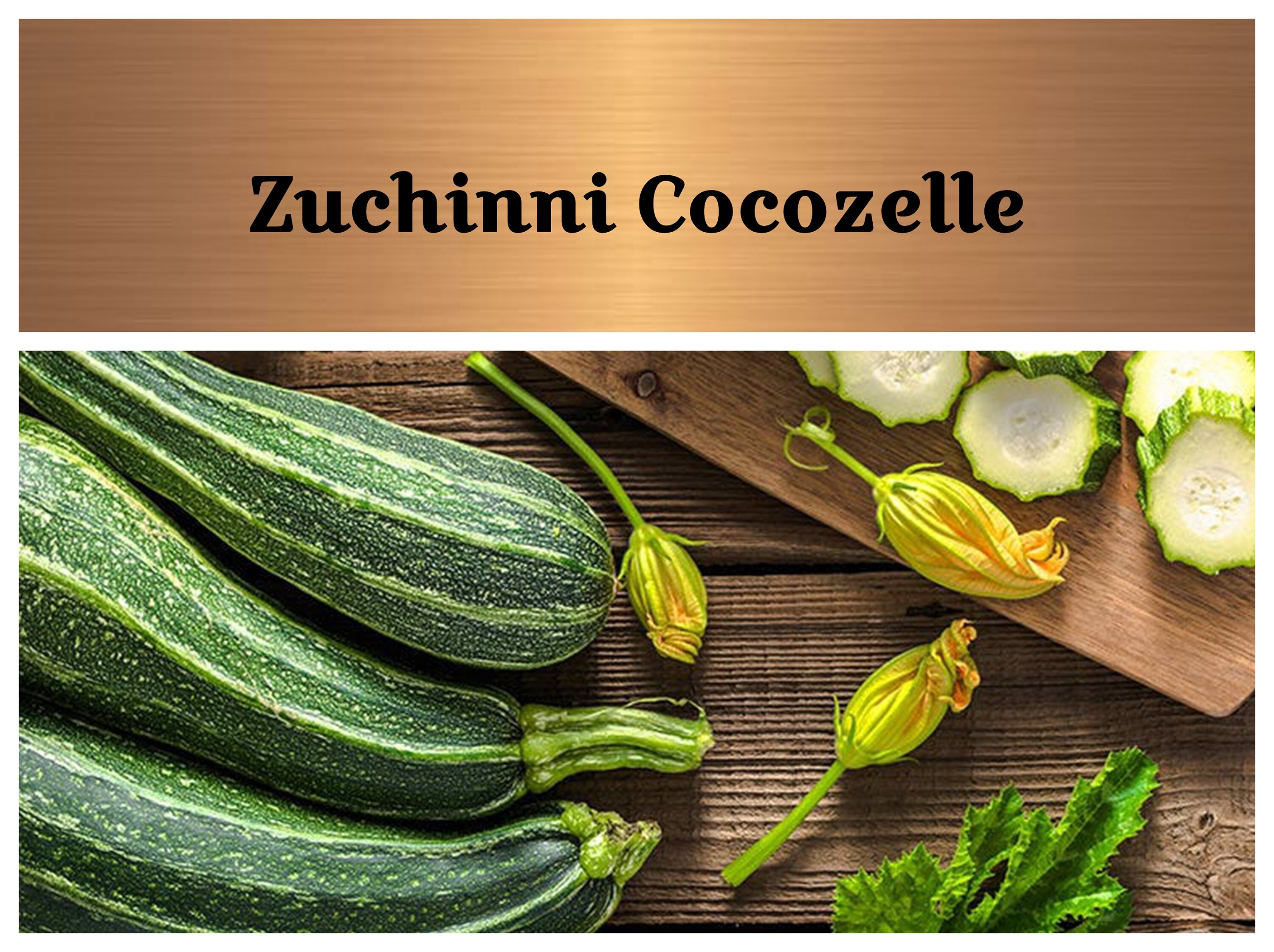 Are Zucchini Seeds Bad For Dogs