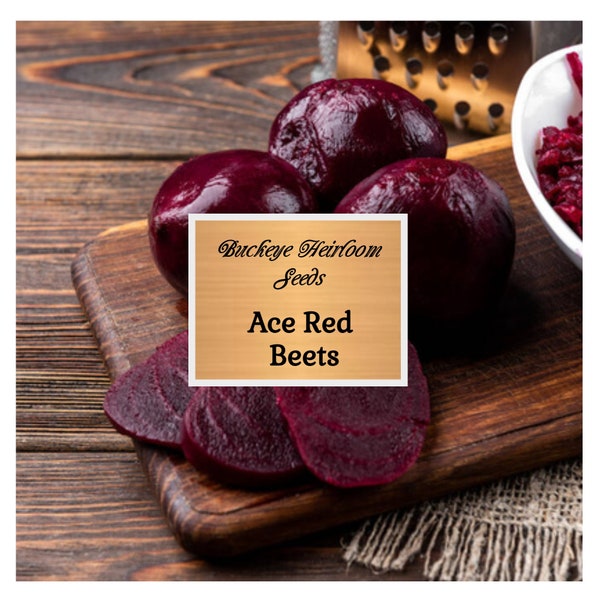 Beet Red Ace Seeds - Workhorse - Standard Red Beet - Buckeye Heirloom Seeds