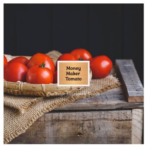 Puede incluir: Una cesta de tomates Money Maker rojos y maduros. Los tomates se exhiben sobre una tela de arpillera, colocada sobre una caja de madera r&uacute;stica. La imagen incluye un letrero que dice "Money Maker Tomato" y "Buckeye Heirloom Seeds".