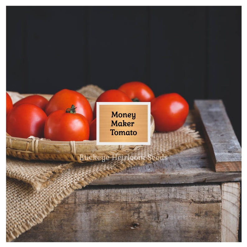 Puede incluir: Una cesta de tomates Money Maker rojos y maduros. Los tomates se exhiben sobre una tela de arpillera, colocada sobre una caja de madera r&uacute;stica. La imagen incluye un letrero que dice "Money Maker Tomato" y "Buckeye Heirloom Seeds".