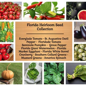 May include: A Florida Heirloom Seed Collection display featuring images of red tomatoes, red and yellow peppers, watermelon, eggplant, pumpkin, and leafy greens. The text reads: Florida Heirloom Seed Collection, Everglade Tomato, St. Augustine Datil Pepper, Floridade Tomato, Seminole Pumpkin, Grove Pepper, Florida Giant Watermelon, Florida Market Eggplant, Florida White Sorrel Cranberry, Southern Collard Greens, Mustard Greens, America Spinach.