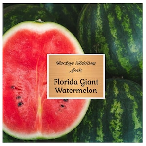 Watermelon - Florida Giant Seeds - Heirloom