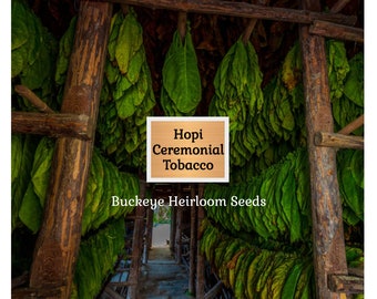 do they grow tobacco in pennsylvania Pennsylvania Red Tobacco