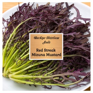 Mizuna Red Streaks, Mustard Seeds - Non-GMO - Heirloom - Vegetable - Buckeye Heirloom Seeds