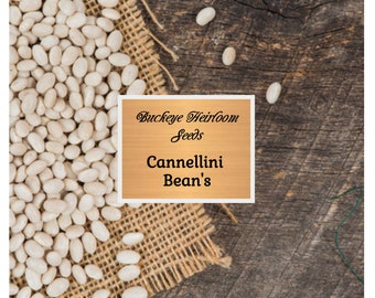 Cannellini Bush Dry Bean Seeds / Heirloom Open Pollinated Heirloom Gardening Non-Gmo - Buckeye Heirloom Seeds