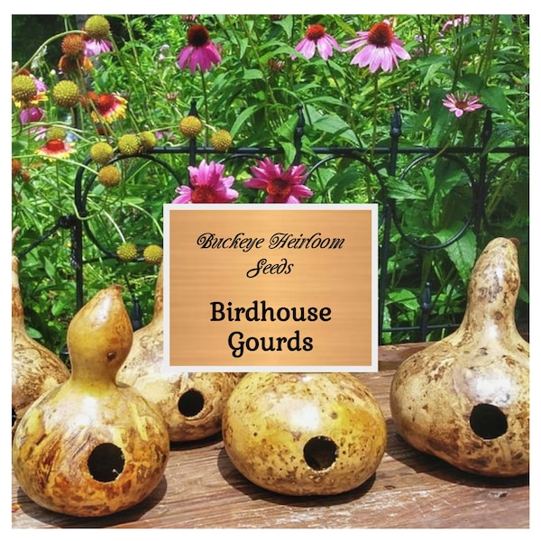 Bird House Gourd Seeds