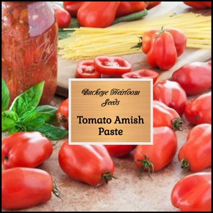 Amish Paste Tomato Seeds - Non-GMO - Heirloom