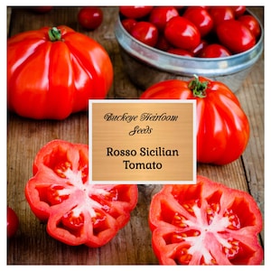 Rosso Sicilian Tomato Seeds - Heirloom - Non- Gmo - Buckeye Heirloom Seeds