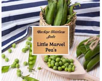 Little Marvel - Pea Seeds - Sweet Peas - Heirloom - Non Gmo - Buckeye Heirloom Seeds
