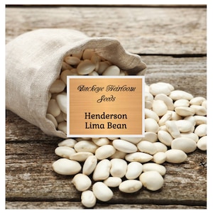Henderson Lima Bean Seed - Baby Butter Beans Heirloom Non GMO (Phaseolus lunatus) - Buckeye Heirloom Seeds