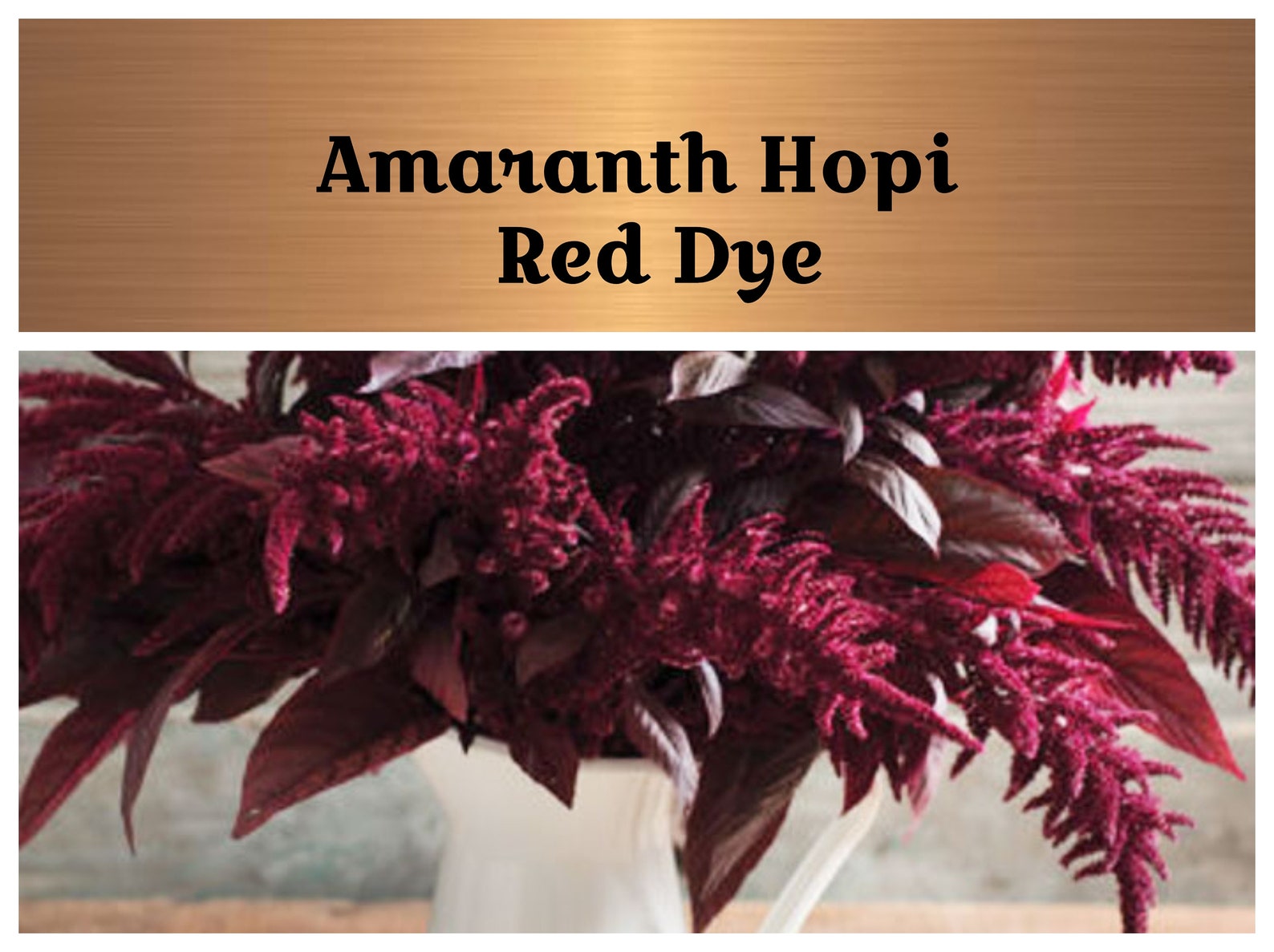 Amaranth Hopi Red Dye Seeds Makes Pink Red Dye 100 Etsy