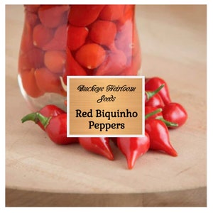 Red Biquinho Pepper Seeds (Capsicum Chinese) Brazilian Heirloom Pepper - Buckeye Heirloom Seeds