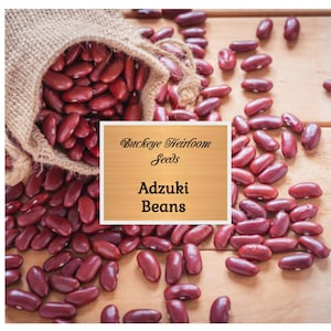 May include: A burlap sack overflowing with deep red adzuki beans, scattered on a light brown wooden surface. The image includes a sign that reads "Buckeye Heirloom Seeds" and "Adzuki Beans".