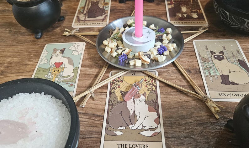 May include: A pink candle in a metal dish filled with dried herbs and fruit pieces, centered on a star made of straw sticks. Surrounding the star are tarot cards featuring cat illustrations, a bowl of white salt with a crystal, and black cauldrons.