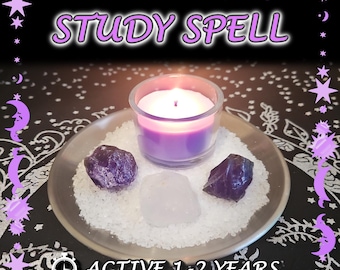 Study and Knowledge Spell - SAME DAY Casting for Memory, Focus, Clarity [Active 1-2 Years] (Tarot w/ Spell Cast)