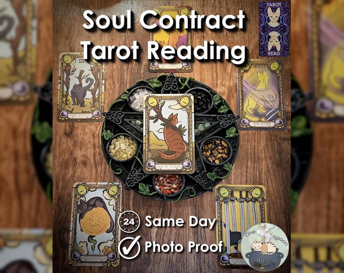 Soul Contract Tarot Read - SAME DAY Reading for Awareness, Consciousness, Understanding, Insight