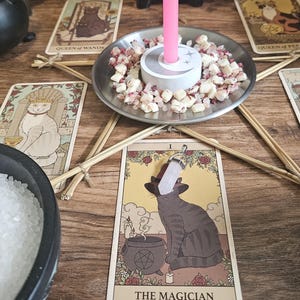 May include: A collection of tarot cards featuring cat illustrations, including The Magician, Queen of Wands, and Queen of Swords. A pink candle sits in a metal dish filled with small crystals, surrounded by a pentagram made of twigs and a bowl of salt.