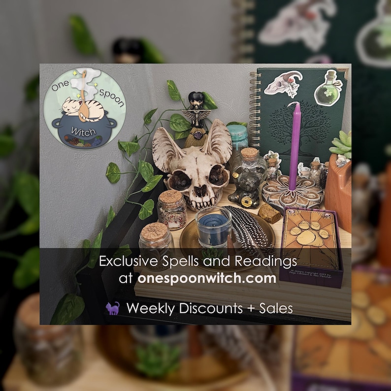 May include: A collection of items including a bat skull, a purple candle in a wooden holder, small glass jars with cork stoppers, a dark green notebook, and a deck of cards with a paw print design. Text reads: Exclusive Spells and Readings at onespoonwitch.com