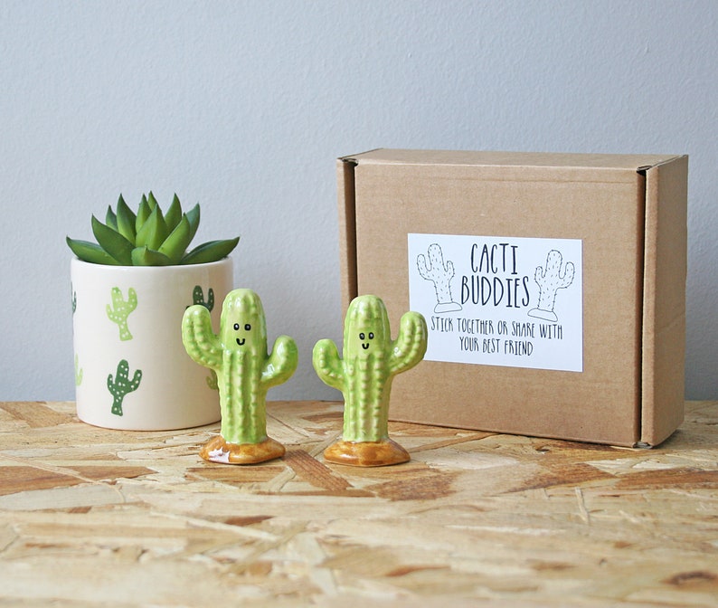 Miniature Cacti Cactus Gift Ceramic Cacti Fun Cacti Office Etsy