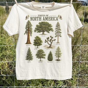 May include: A cream-colored short-sleeve t-shirt featuring a graphic print titled Trees of North America. The design displays illustrations of various tree species including a Giant Sequoia, White Oak, Ponderosa Pine, Sugar Maple, Joshua Tree, Douglas Fir, Black Walnut, Eastern Red Cedar, and Bald Cypress with their names printed below each.