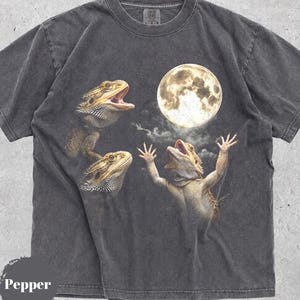 Peut inclure: Un t-shirt gris anthracite à manches courtes avec une impression graphique de trois dragons barbus tendant les bras vers une pleine lune dans un ciel nocturne nuageux. Le t-shirt a un col rond et un aspect délavé avec le mot Pepper imprimé.