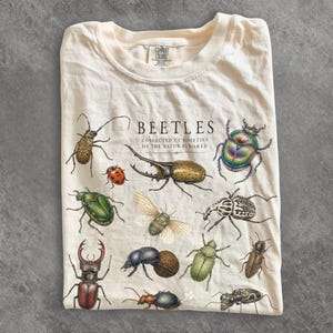 Könnte beinhalten: Ein cremefarbenes T-Shirt mit einem detaillierten Grafikdruck verschiedener Käfer und Insekten. Der Text "BEETLES" und "COLLECTED CURIOSITIES OF THE NATURAL WORLD" ist in Schwarz über den Illustrationen verschiedener bunter Käferarten aufgedruckt.
