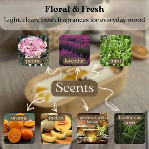 May include: A graphic display titled Floral & Fresh with the subtitle Light, clean, fresh fragrances for everyday mood. It features seven scent categories labeled peony, lavender, mint, orange, melon, green tea with lemon, and freshly cut grass.