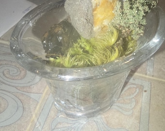 Jardín de musgo y cristal