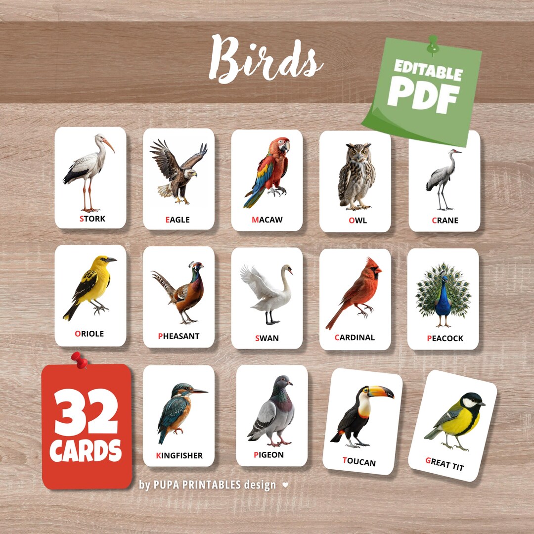 Realistic Birds Flashcards for Kids | 32 Montessori Cards | Editable ...
