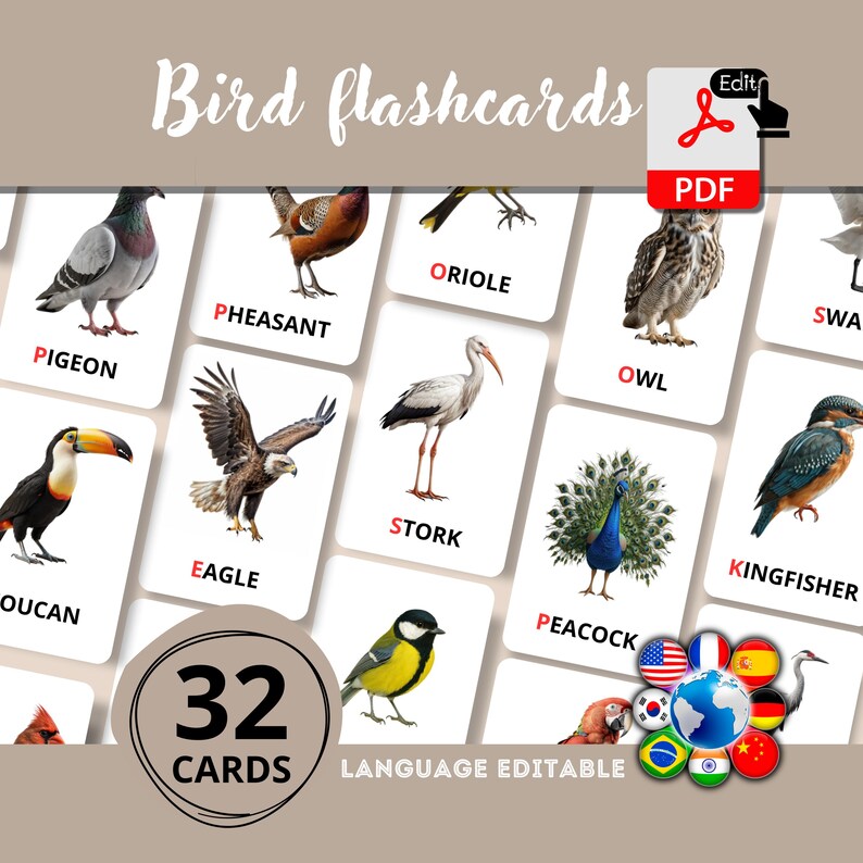 Realistic Birds Flashcards for Kids | 32 Montessori Cards | Editable ...