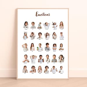 May include: A framed poster titled "Emotions" featuring photographs of children expressing various feelings. Each photo is labeled with a corresponding emotion, such as "Worried," "Happy," and "Angry." The poster is in a light-colored frame.