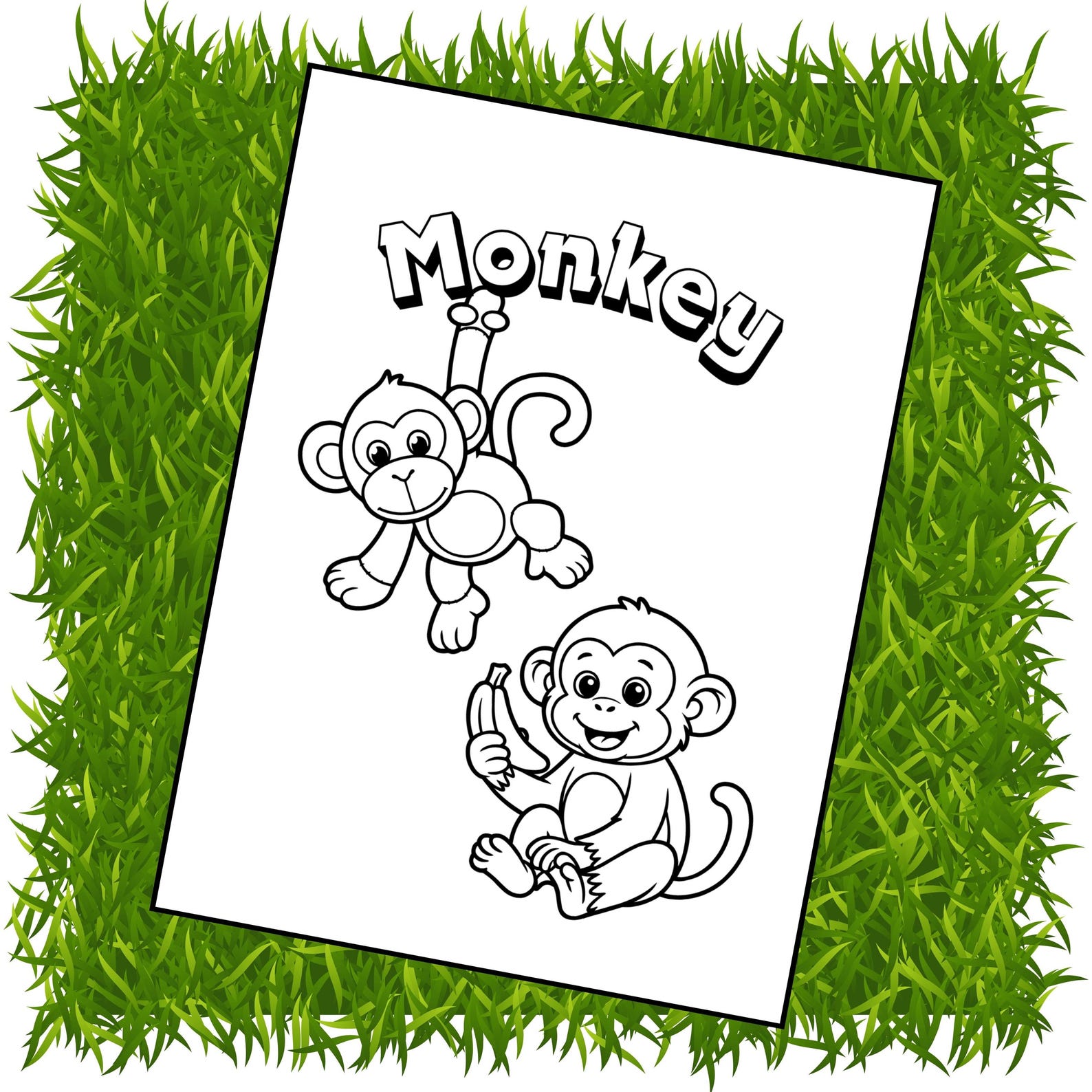 Zoo Animals Coloring Pages Digital Download - Etsy