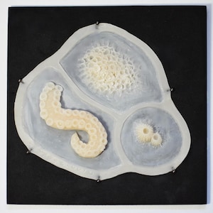 Tentacle and Barnacle SFX Silicone Prosthetic Set