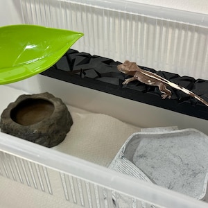 Może przedstawiać: Terrarium dla gada z małym gekonem. Obudowa zawiera zielony liść, czarną, teksturowaną grzędę, miskę na wodę i szarą kryjówkę przypominającą skałę. Gekon jest brązowy z białymi paskami.