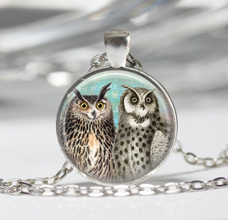 Owl Jewelry Owl Necklace Owl Glass Pendant Owl Necklace Owl Etsy