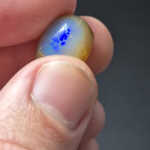 May include: A polished opal gemstone, held between fingers, shows a vibrant blue pattern within a translucent body. The opal has a creamy white base with hints of yellow and brown around the edges, creating a striking contrast.