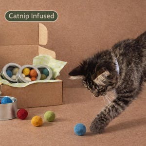 Handmade Wool Catnip Toy Balls | Natural Felted Cat Toys (Set of 5)