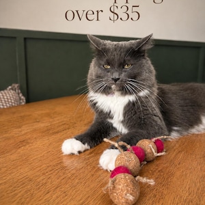 May include: A gray and white cat with yellow eyes lies on a wooden surface next to a cat toy. The cat toy is made of cork and red felt balls. Text above the cat reads "Free shipping over $35".