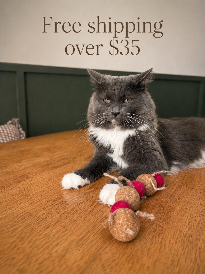 May include: A gray and white cat with yellow eyes lies on a wooden surface next to a cat toy. The cat toy is made of cork and red felt balls. Text above the cat reads "Free shipping over $35".