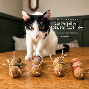 May include: A black and white cat sits on a wooden table, looking at several caterpillar-shaped cat toys. The toys are made of cork and colorful bands, with twine legs. Text on the image reads "Caterpillar Natural Cat Toy" and "silvervine infused".